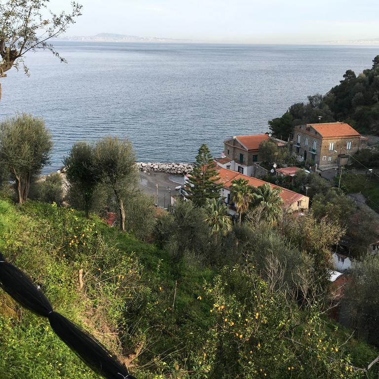 Villa Rosmary - Sorrento Coast - Gulf Of Naples View Exterior photo