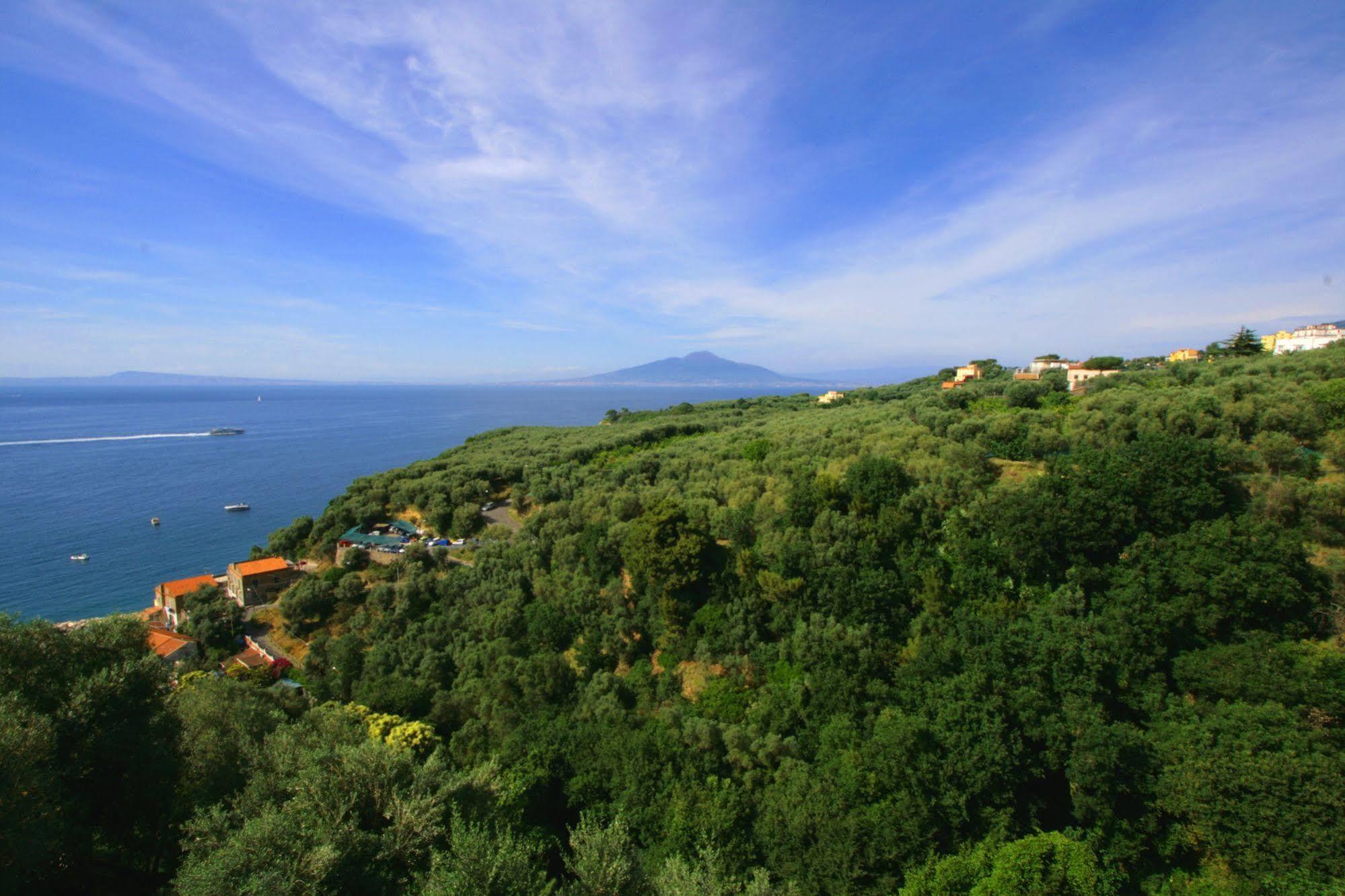 Villa Rosmary - Sorrento Coast - Gulf Of Naples View Exterior photo