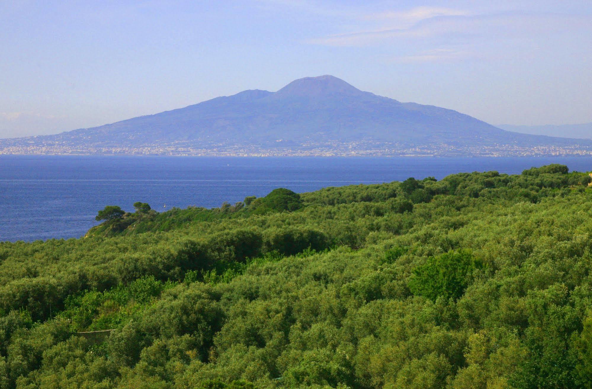 Villa Rosmary - Sorrento Coast - Gulf Of Naples View Exterior photo